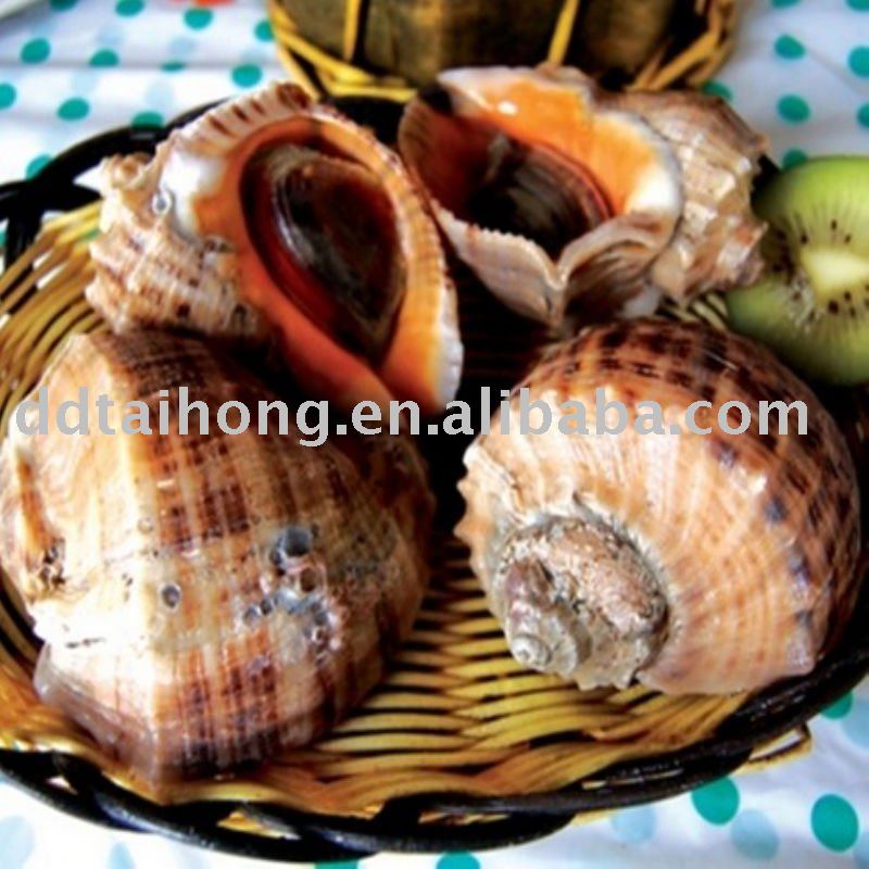 Frozen boiled top-shell meat