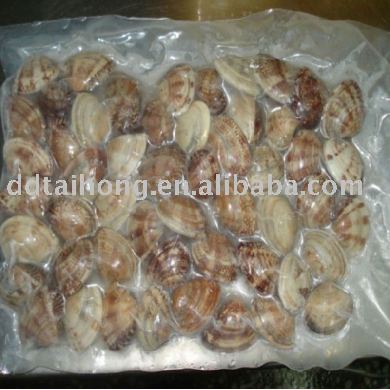 Vacuum packed frozen boiled clam Sea foods