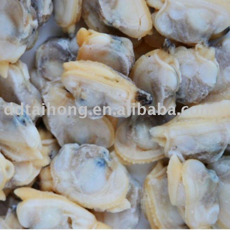 Frozen boiled baby clam meat (seafood)