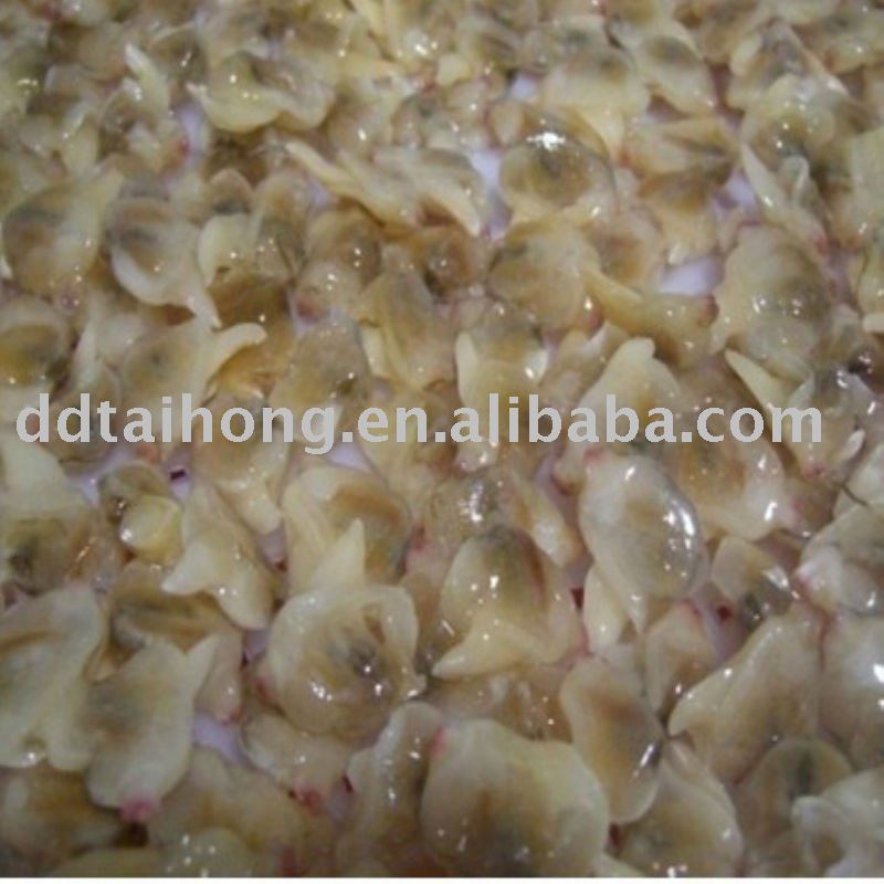 Frozen boiled surf clam meat
