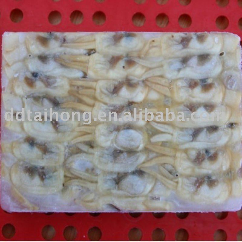 Frozen boiled  razor   clam  meat  seafood 
