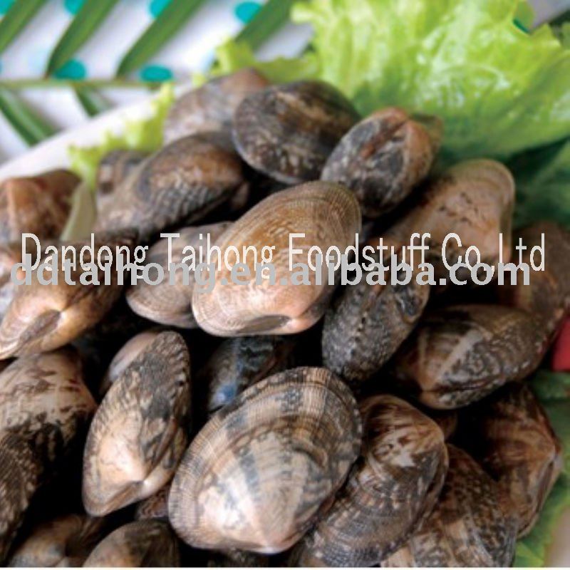 Frozen boiled clam (shell on)