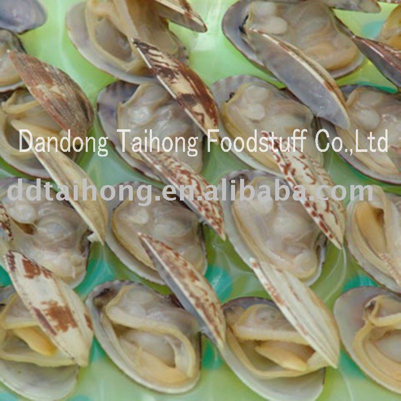 Frozen boiled clam Instant food