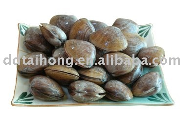 Frozen boiled surf clam Frozen seafood