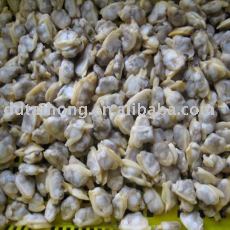 Unit frozen clam meat