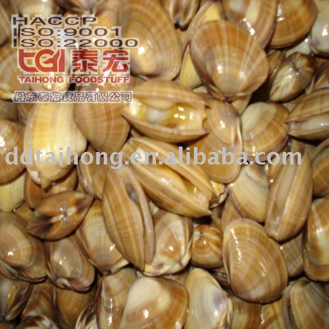 Frozen boiled surf clam sea food
