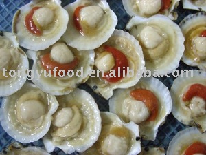 Ezo scallop (half shell)