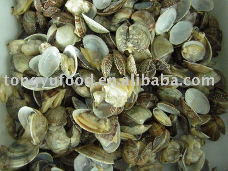 frozen  shell   products 