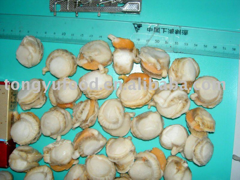 frozen cooked roe on scallop