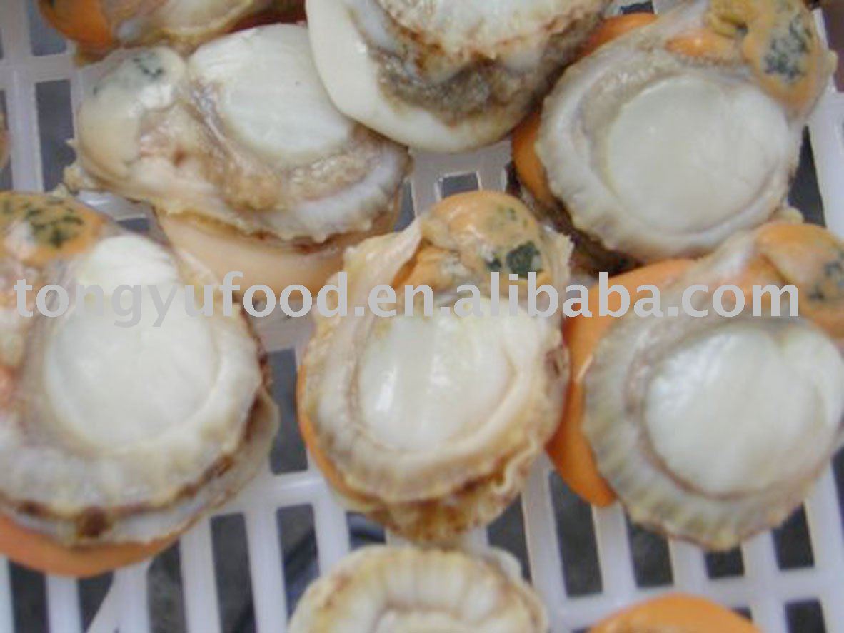 frozen raw roe on scallop