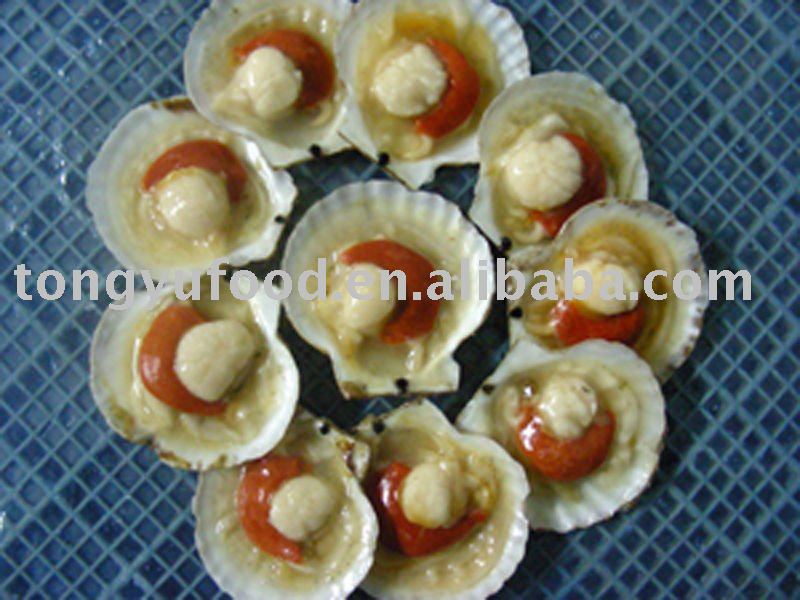  frozen   iqf  scallop