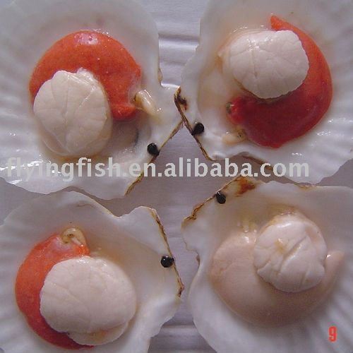Half shell sea scallops with roe on