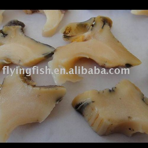 Conch slice