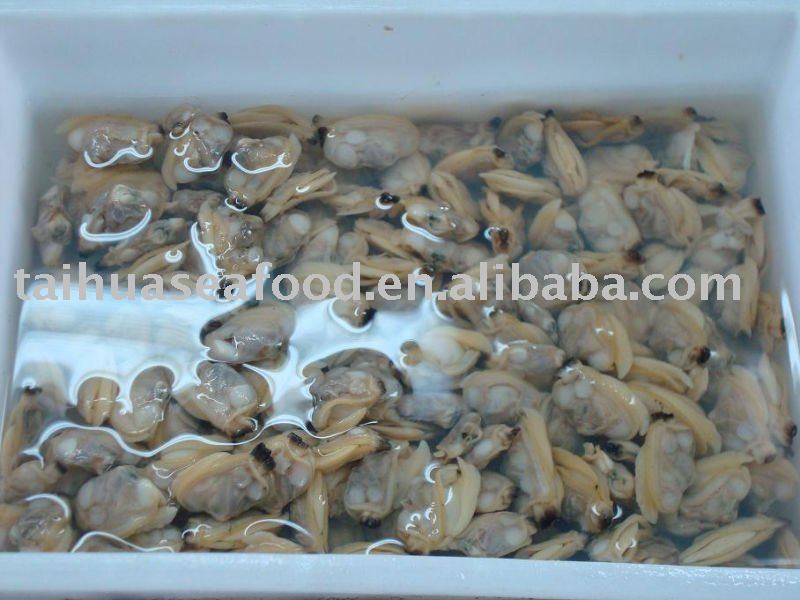 Frozen Clam Meat