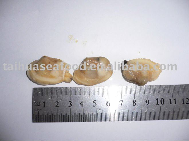  Boiled   Clam   Meat 