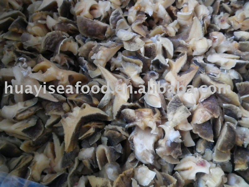 moon snail meat