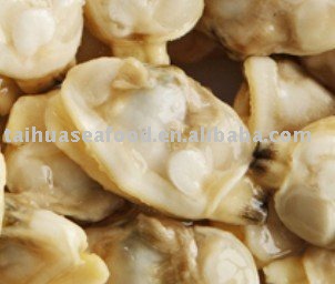 Frozen Instant Clam Meat