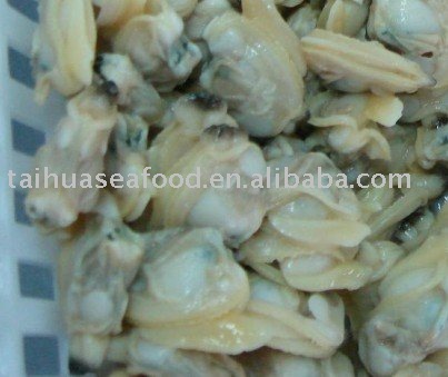 Clam ( Frozen / IQF / Boiled/ )