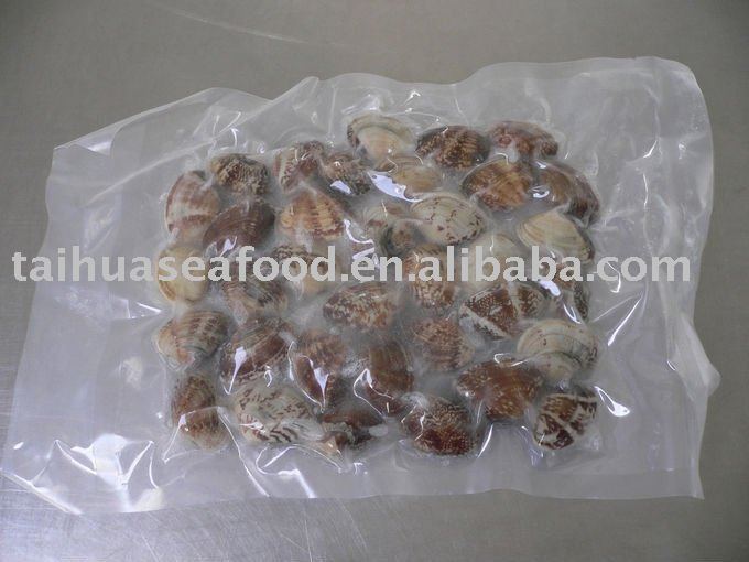 Vacuum Packed Whole Clam