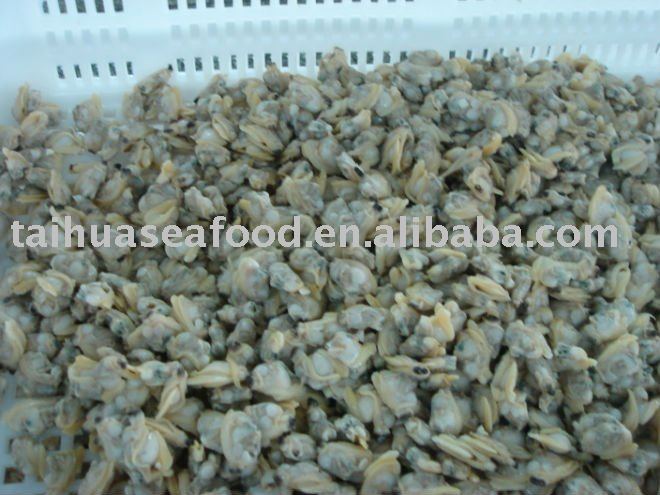 Frozen Boiled  Clam Meat
