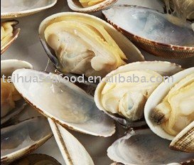 Whole Boiled Clam ( Frozen / Vacuum Packed )