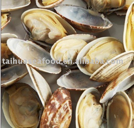 Processed Whole Clam
