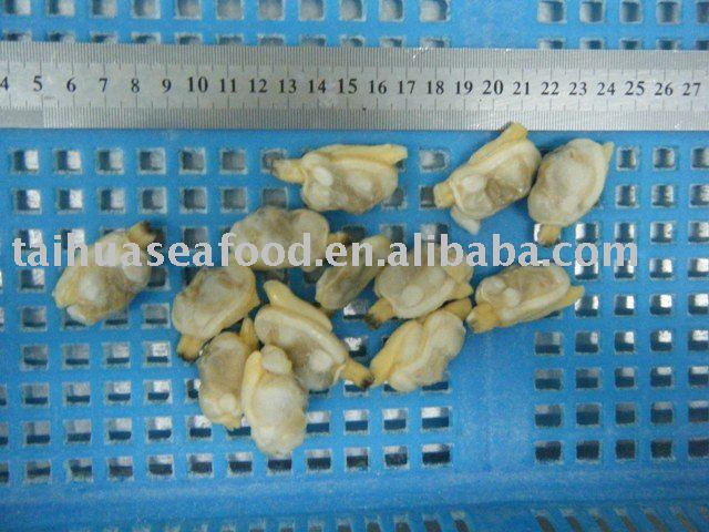Frozen Vacuum Boiled Clam Meat