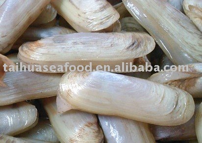 Frozen Whole Razor clam