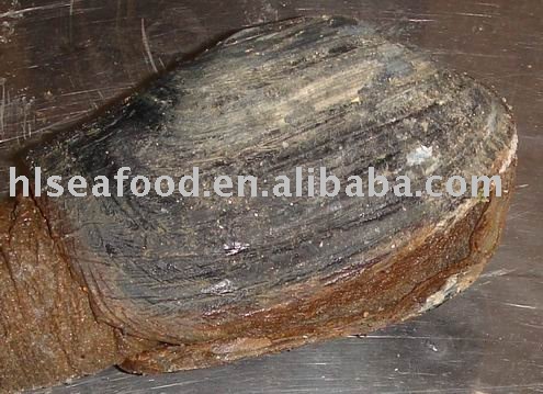 GEODUCK