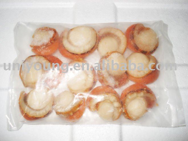 FROZEN SEA SCALLOPS