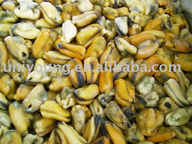 frozen mussels meat