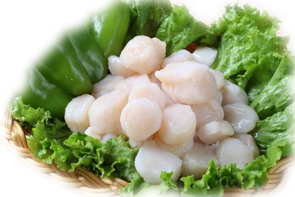 Sea scallops
