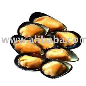 Frozen Mussels