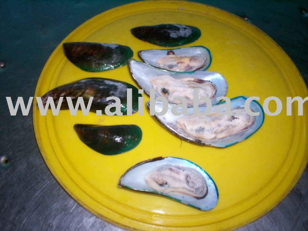 Half Shell Green Mussels