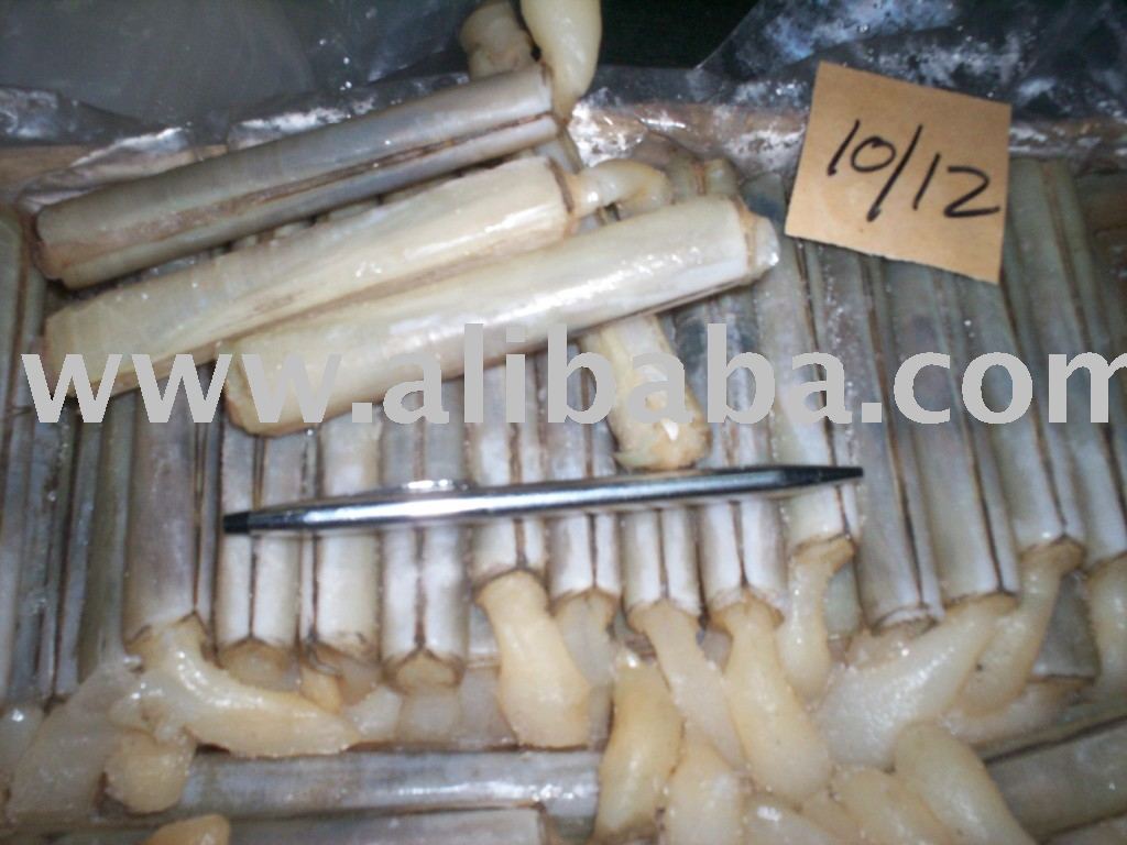 Frozen Razor Clam Whole