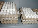 Chicken eggs