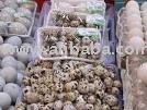 qauil eggs and chicken eggs