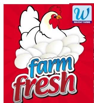 Fresh Eggs