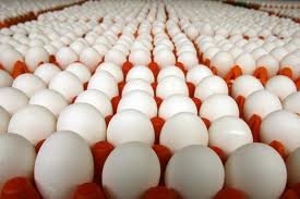  chiken   Eggs 