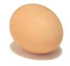 Eggs and Chickens for sale
