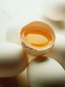  Frozen   Whole   Egg 