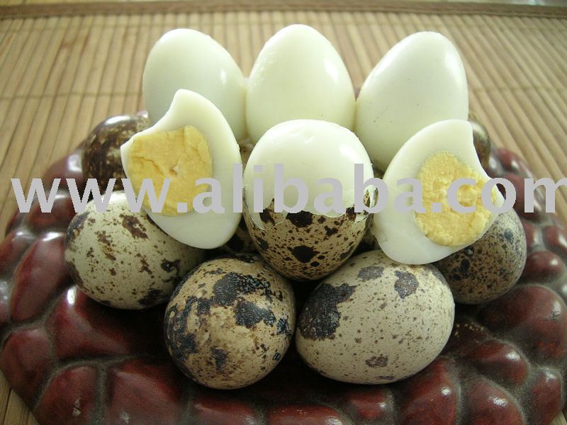 Halal Fresh and Boiled Quail Egg in Salt Hygeinic Ready to Cook