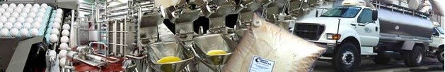  Liquid  Egg product