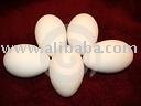goose eggs