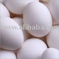 Fresh Chicken Egg