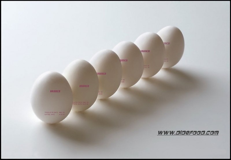 fresh table egg