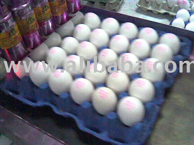 Chicken's egg: white table