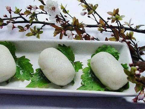 eggs of pigeon bird