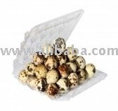 GET YOUR SUPPLIER OF QUAIL'S EGGS