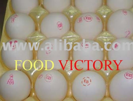 TABLE EGG